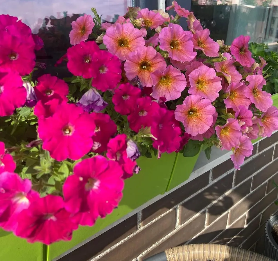 פלובדיב M&M Center Apartment With Free Parking